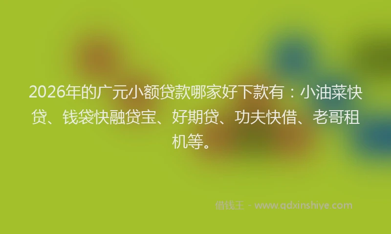 2026年的广元小额贷款哪家好下款有：小油菜快贷、钱袋快融贷宝、好期贷、功夫快借、老哥租机等。