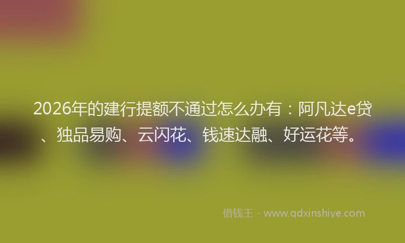 2026年的建行提额不通过怎么办有：阿凡达e贷、独品易购、云闪花、钱速达融、好运花等。