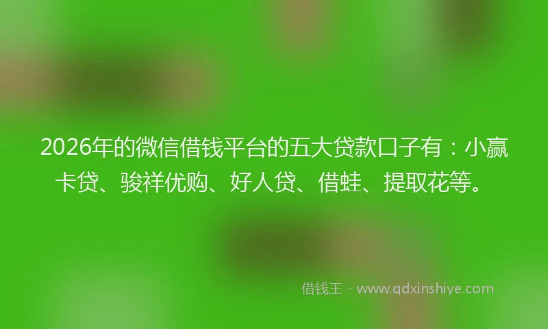 2026年的微信借钱平台的五大贷款口子有：小赢卡贷、骏祥优购、好人贷、借蛙、提取花等。