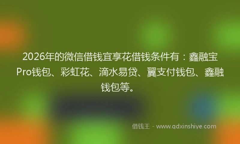 2026年的微信借钱宜享花借钱条件有：鑫融宝Pro钱包、彩虹花、滴水易贷、翼支付钱包、鑫融钱包等。