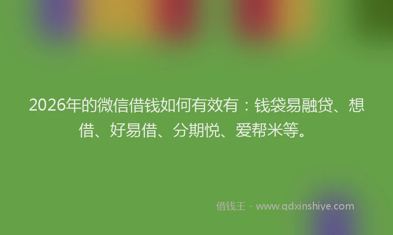 2026年的微信借钱如何有效有：钱袋易融贷、想借、好易借、分期悦、爱帮米等。