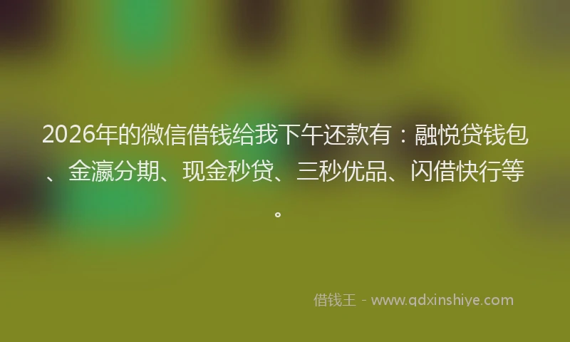 2026年的微信借钱给我下午还款有：融悦贷钱包、金瀛分期、现金秒贷、三秒优品、闪借快行等。