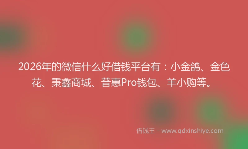 2026年的微信什么好借钱平台有：小金鸽、金色花、秉鑫商城、普惠Pro钱包、羊小购等。