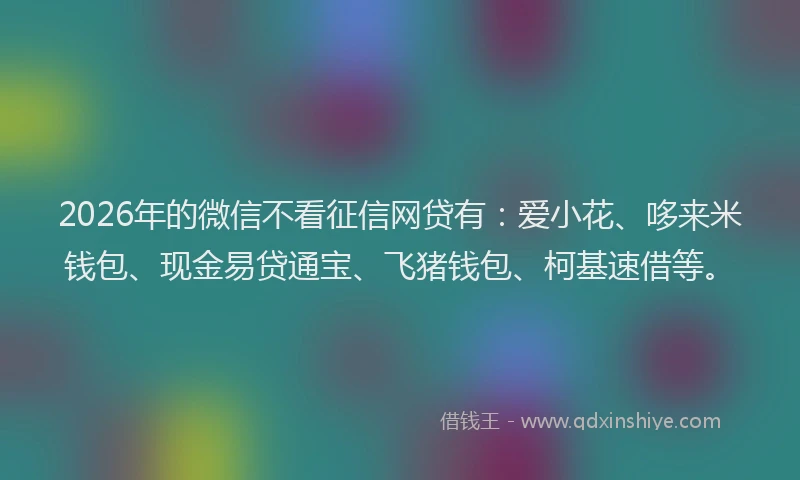 2026年的微信不看征信网贷有：爱小花、哆来米钱包、现金易贷通宝、飞猪钱包、柯基速借等。