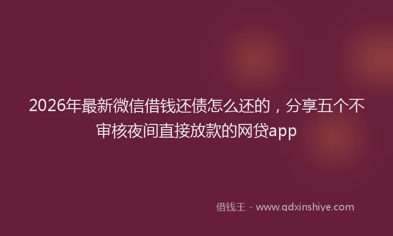2026年最新微信借钱还债怎么还的，分享五个不审核夜间直接放款的网贷app