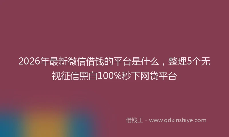 2026年最新微信借钱的平台是什么，整理5个无视征信黑白100%秒下网贷平台