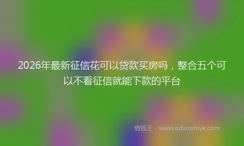 2026年最新征信花可以贷款买房吗，整合五个可以不看征信就能下款的平台