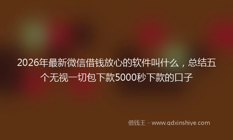 2026年最新微信借钱放心的软件叫什么，总结五个无视一切包下款5000秒下款的口子