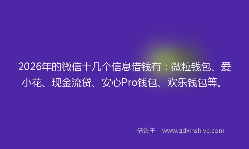2026年的微信十几个信息借钱有：微粒钱包、爱小花、现金流贷、安心Pro钱包、欢乐钱包等。