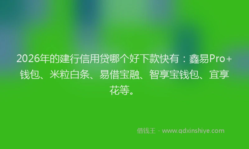 2026年的建行信用贷哪个好下款快有：鑫易Pro+钱包、米粒白条、易借宝融、智享宝钱包、宜享花等。