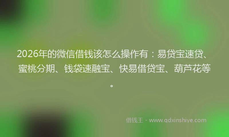 2026年的微信借钱该怎么操作有：易贷宝速贷、蜜桃分期、钱袋速融宝、快易借贷宝、葫芦花等。