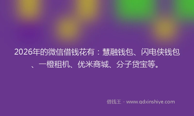 2026年的微信借钱花有：慧融钱包、闪电侠钱包、一橙租机、优米商城、分子贷宝等。