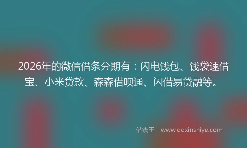 2026年的微信借条分期有：闪电钱包、钱袋速借宝、小米贷款、森森借呗通、闪借易贷融等。