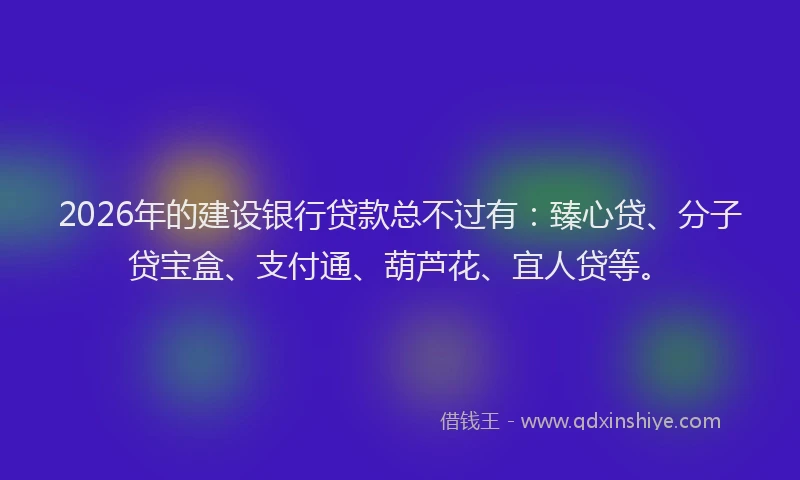 2026年的建设银行贷款总不过有：臻心贷、分子贷宝盒、支付通、葫芦花、宜人贷等。