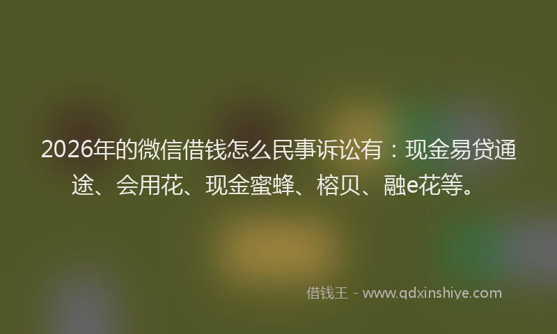 2026年的微信借钱怎么民事诉讼有：现金易贷通途、会用花、现金蜜蜂、榕贝、融e花等。