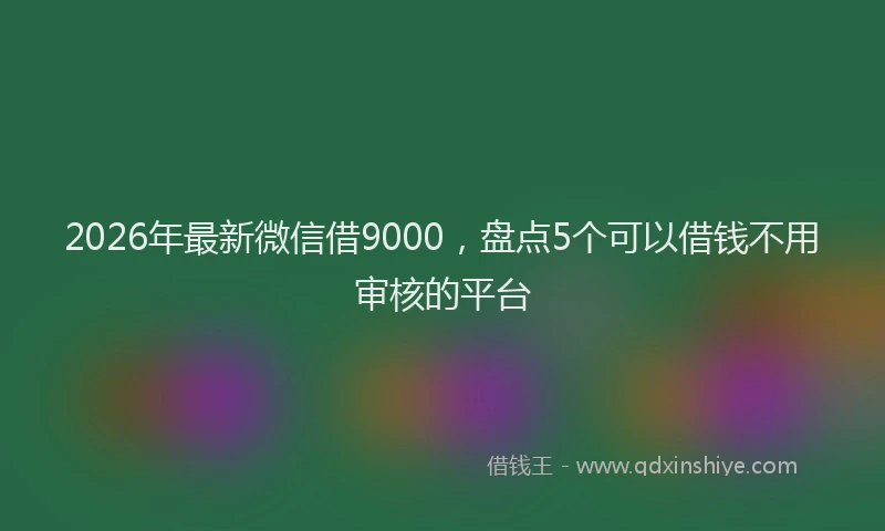 2026年最新微信借9000，盘点5个可以借钱不用审核的平台