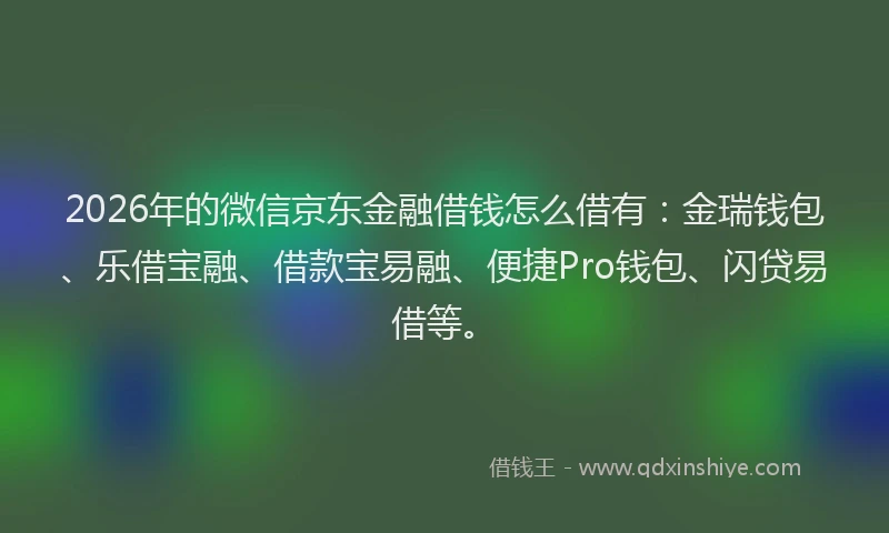 2026年的微信京东金融借钱怎么借有：金瑞钱包、乐借宝融、借款宝易融、便捷Pro钱包、闪贷易借等。