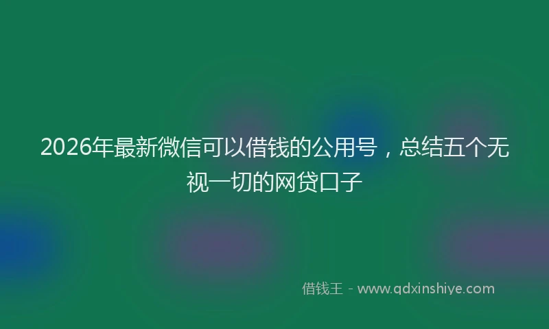 2026年最新微信可以借钱的公用号，总结五个无视一切的网贷口子