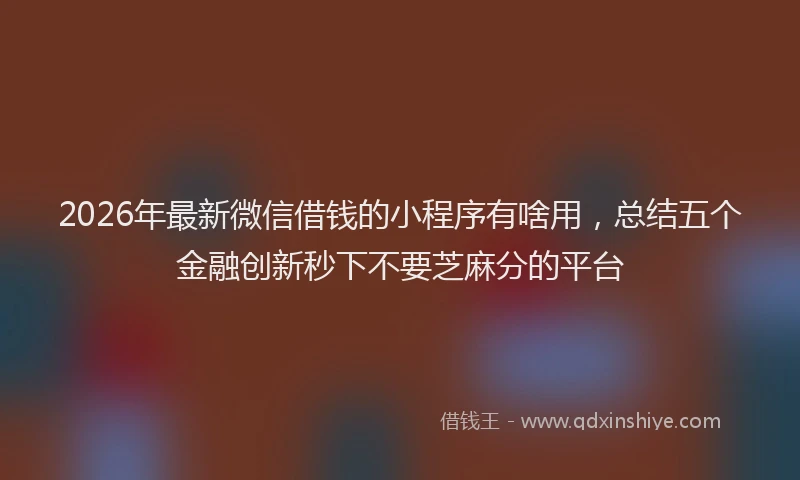 2026年最新微信借钱的小程序有啥用，总结五个金融创新秒下不要芝麻分的平台