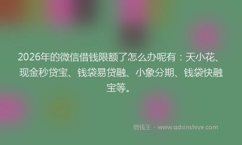 2026年的微信借钱限额了怎么办呢有：天小花、现金秒贷宝、钱袋易贷融、小象分期、钱袋快融宝等。