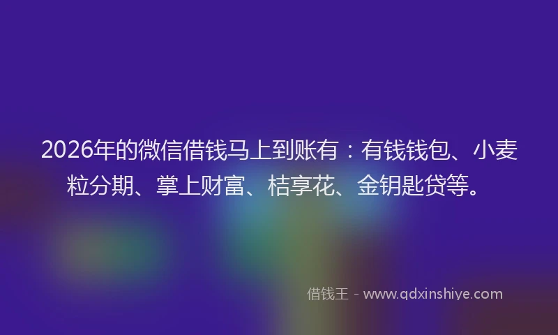 2026年的微信借钱马上到账有：有钱钱包、小麦粒分期、掌上财富、桔享花、金钥匙贷等。