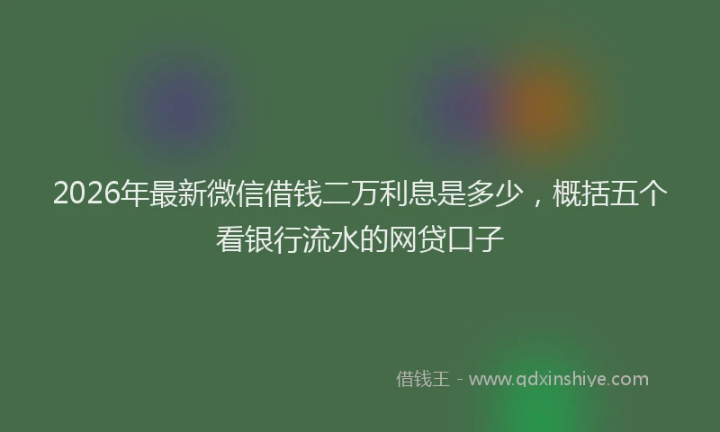 2026年最新微信借钱二万利息是多少，概括五个看银行流水的网贷口子