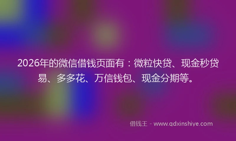 2026年的微信借钱页面有：微粒快贷、现金秒贷易、多多花、万信钱包、现金分期等。