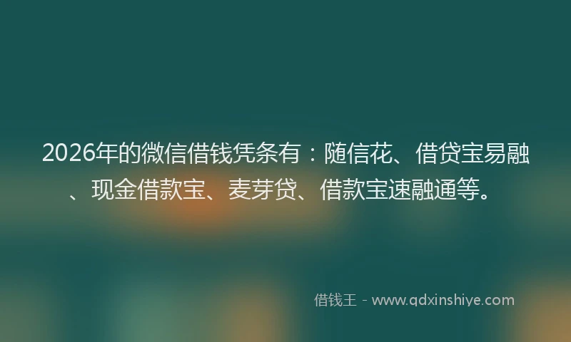2026年的微信借钱凭条有：随信花、借贷宝易融、现金借款宝、麦芽贷、借款宝速融通等。