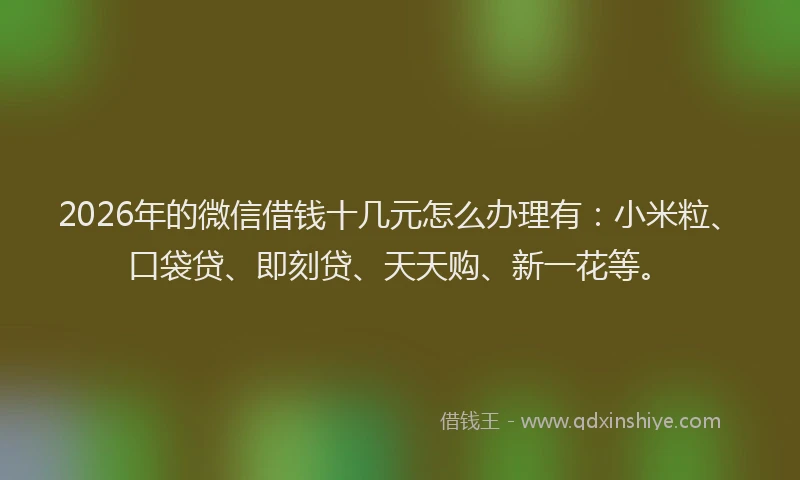 2026年的微信借钱十几元怎么办理有：小米粒、口袋贷、即刻贷、天天购、新一花等。