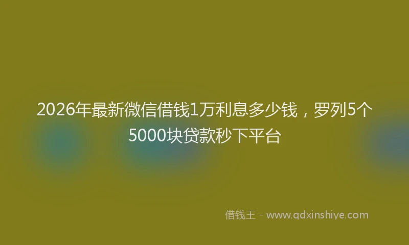 2026年最新微信借钱1万利息多少钱，罗列5个5000块贷款秒下平台