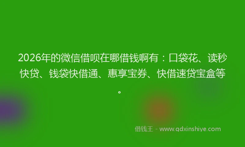 2026年的微信借呗在哪借钱啊有：口袋花、读秒快贷、钱袋快借通、惠享宝券、快借速贷宝盒等。