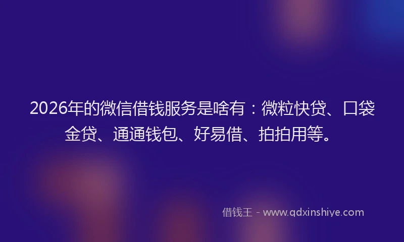 2026年的微信借钱服务是啥有：微粒快贷、口袋金贷、通通钱包、好易借、拍拍用等。