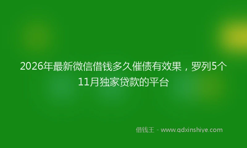 2026年最新微信借钱多久催债有效果，罗列5个11月独家贷款的平台