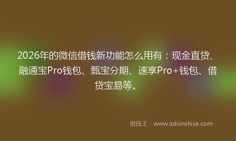 2026年的微信借钱新功能怎么用有：现金直贷、融通宝Pro钱包、甄宝分期、速享Pro+钱包、借贷宝易等。