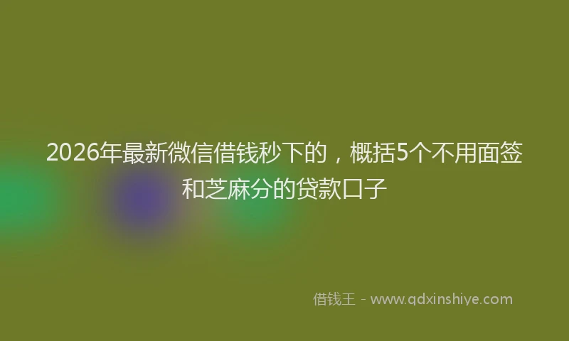 2026年最新微信借钱秒下的，概括5个不用面签和芝麻分的贷款口子