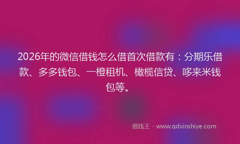2026年的微信借钱怎么借首次借款有：分期乐借款、多多钱包、一橙租机、橄榄信贷、哆来米钱包等。