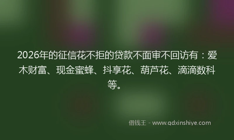 2026年的征信花不拒的贷款不面审不回访有：爱木财富、现金蜜蜂、抖享花、葫芦花、滴滴数科等。