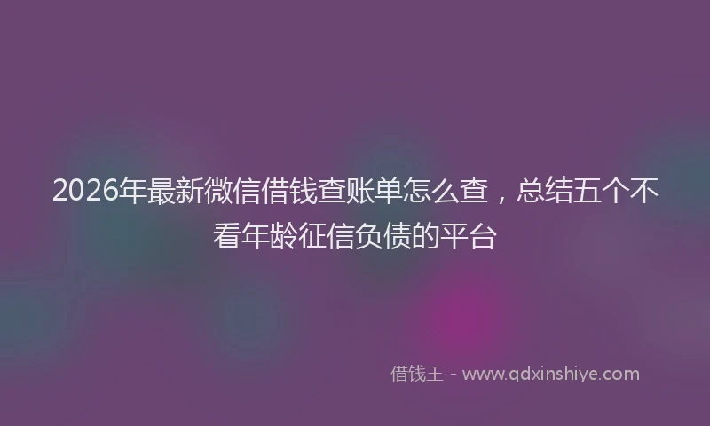 2026年最新微信借钱查账单怎么查，总结五个不看年龄征信负债的平台