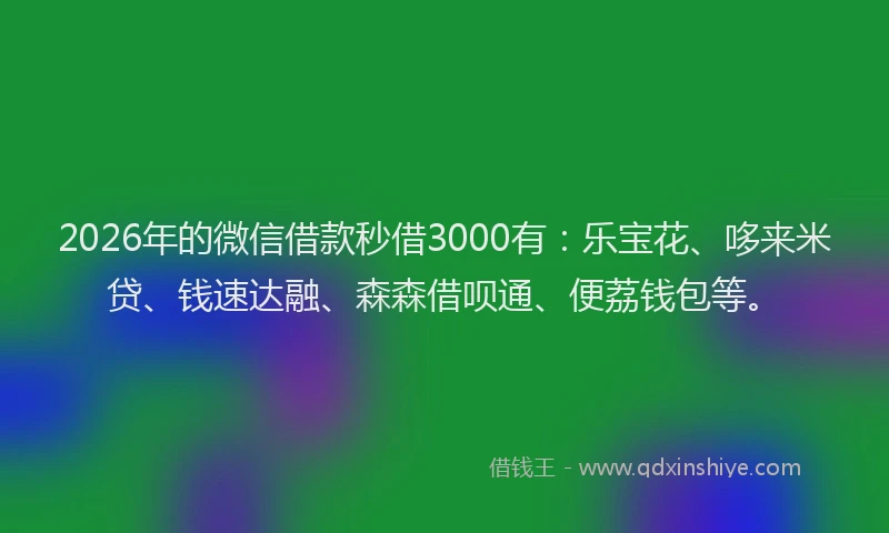 2026年的微信借款秒借3000有：乐宝花、哆来米贷、钱速达融、森森借呗通、便荔钱包等。