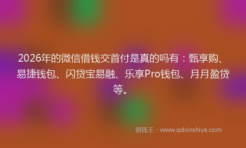 2026年的微信借钱交首付是真的吗有：甄享购、易捷钱包、闪贷宝易融、乐享Pro钱包、月月盈贷等。