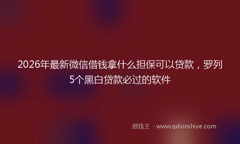 2026年最新微信借钱拿什么担保可以贷款，罗列5个黑白贷款必过的软件