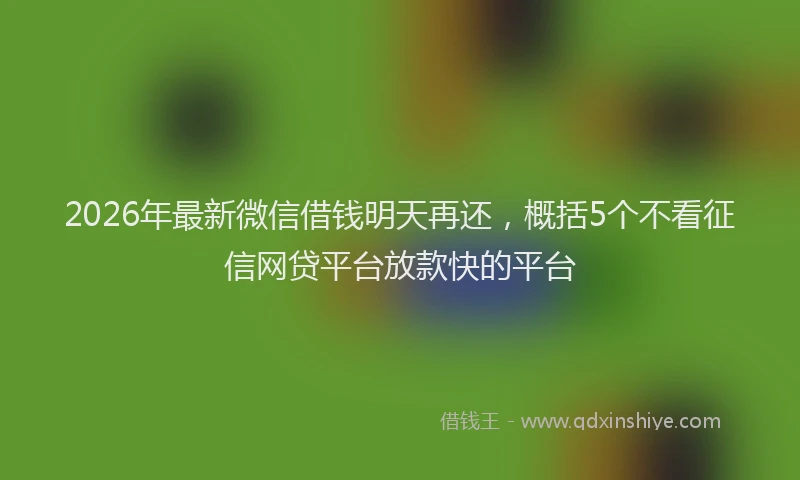 2026年最新微信借钱明天再还，概括5个不看征信网贷平台放款快的平台