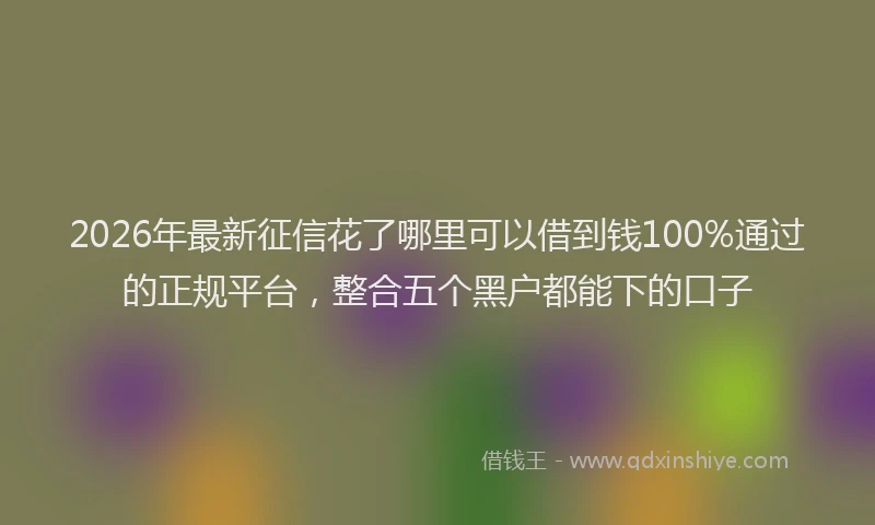 2026年最新征信花了哪里可以借到钱100%通过的正规平台，整合五个黑户都能下的口子