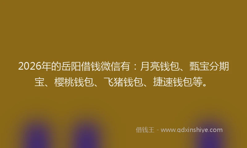 2026年的岳阳借钱微信有：月亮钱包、甄宝分期宝、樱桃钱包、飞猪钱包、捷速钱包等。