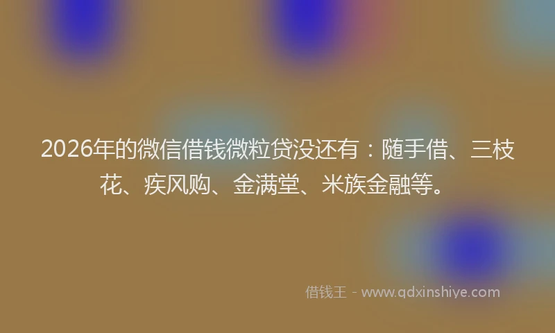 2026年的微信借钱微粒贷没还有：随手借、三枝花、疾风购、金满堂、米族金融等。