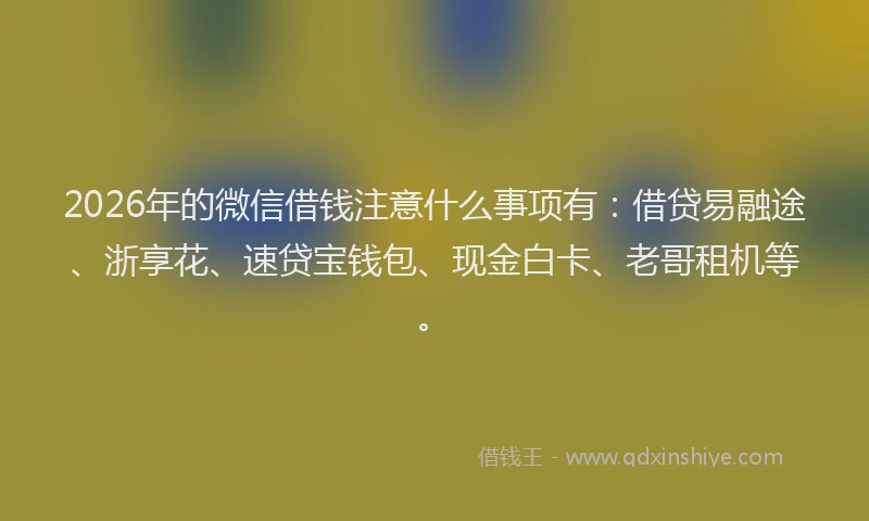 2026年的微信借钱注意什么事项有：借贷易融途、浙享花、速贷宝钱包、现金白卡、老哥租机等。