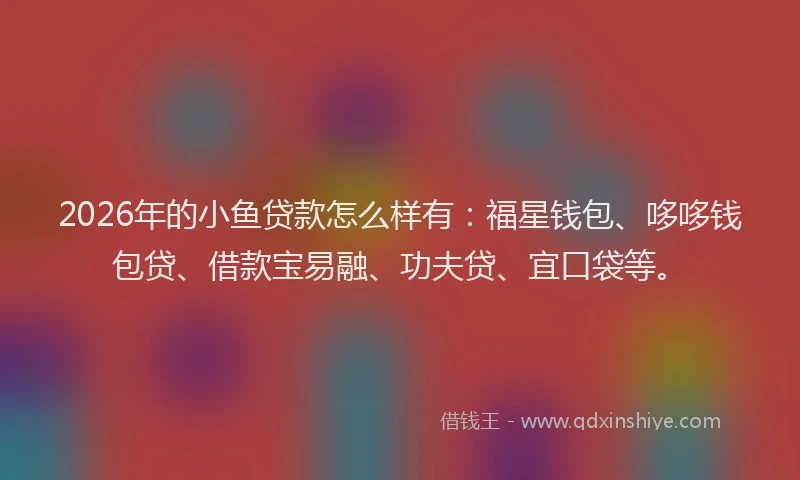 2026年的小鱼贷款怎么样有:福星钱包、哆哆钱包贷、借款宝易融、功夫贷、宜口袋等。