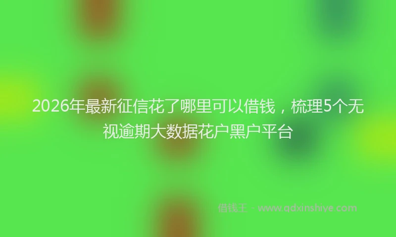 2026年最新征信花了哪里可以借钱，梳理5个无视逾期大数据花户黑户平台