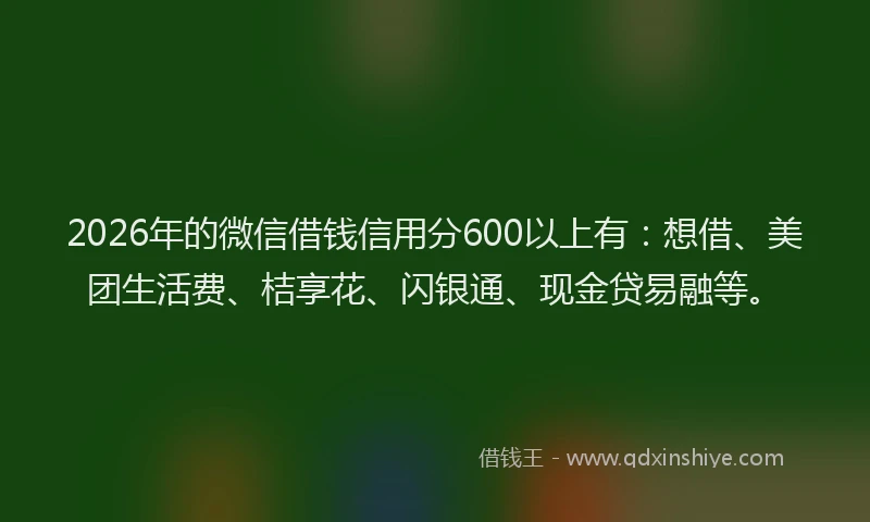 2026年的微信借钱信用分600以上有：想借、美团生活费、桔享花、闪银通、现金贷易融等。