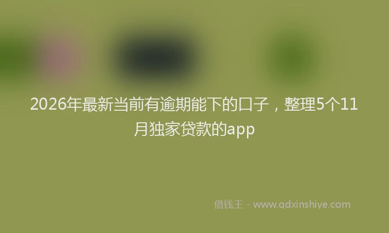 2026年最新当前有逾期能下的口子，整理5个11月独家贷款的app